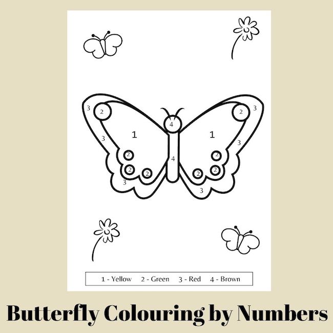 butterfly colour by number